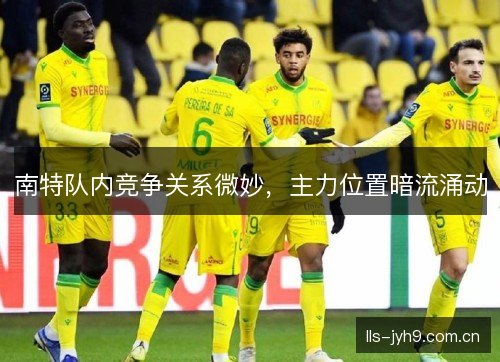 南特队内竞争关系微妙，主力位置暗流涌动